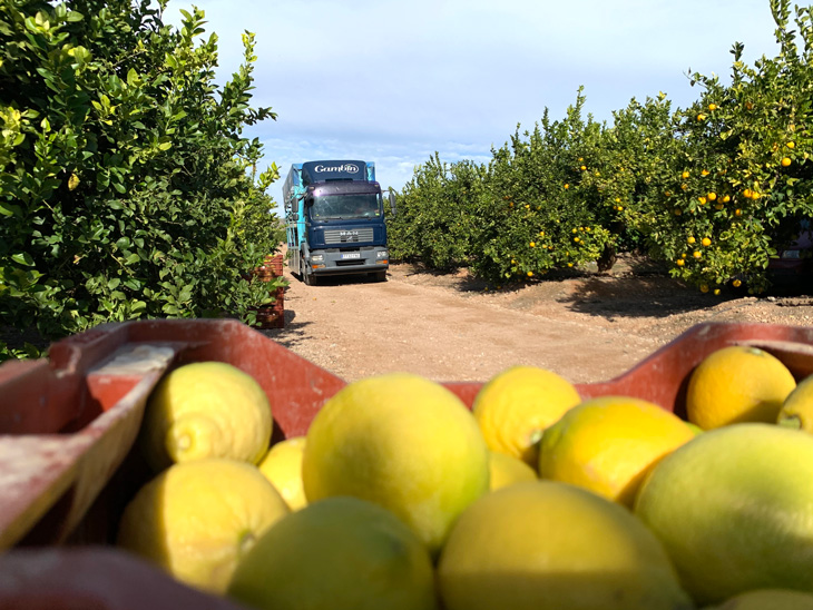 GAMBÍN trucks: twelve and a half laps around the world every year