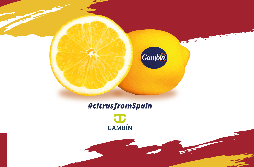 Spanish lemons GAMBÍN are back on the market