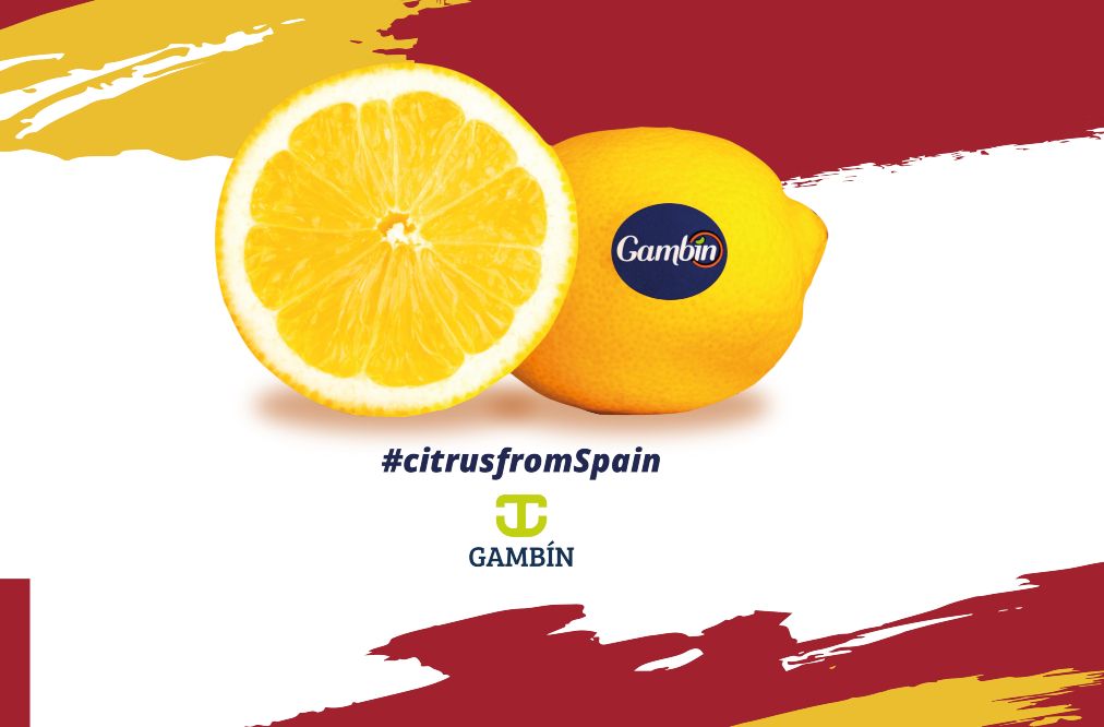 https://jgambin.com/img/https://jgambin.com/img/galeria/115/lemon_spain_GAMBIN_web.jpg.jpg