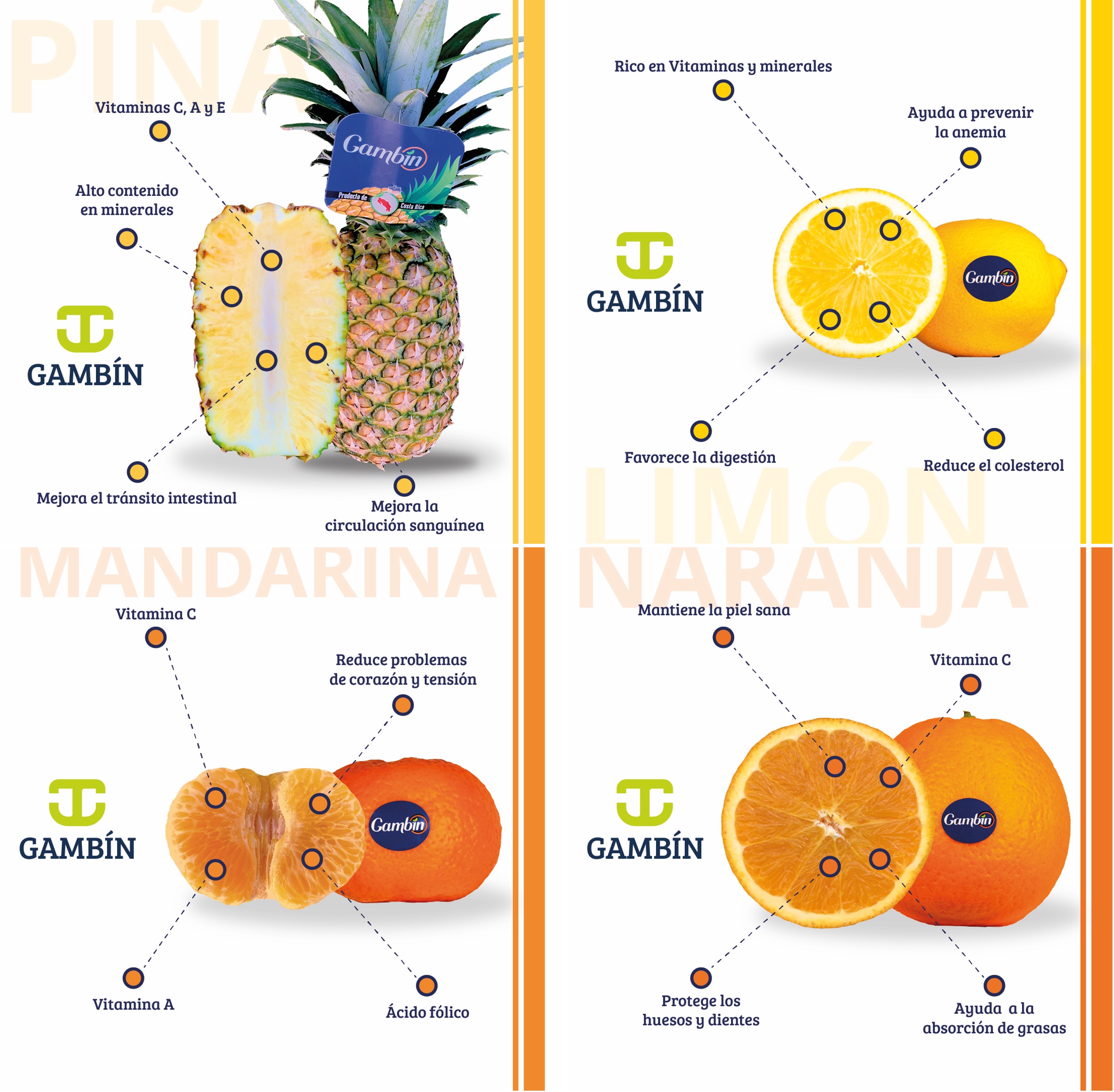 Cítricos y sus propiedades: el mejor aliado para tu salud