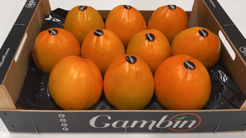 Japanese researchers conclude that persimmon may reduce the effects of Covid-19