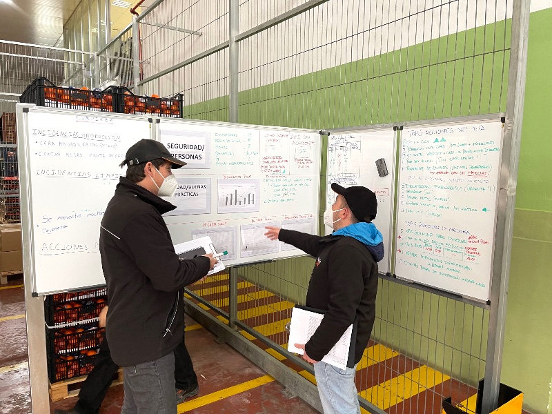 Lean manufacturing methodology for citrus fruit excellence