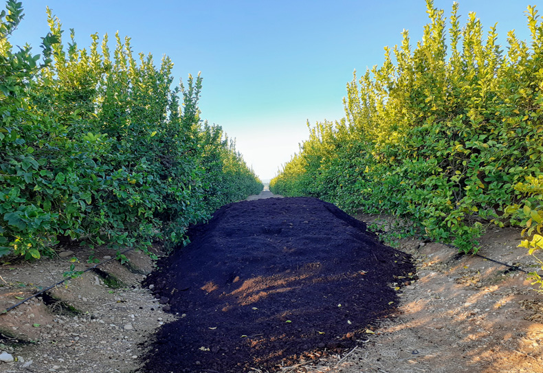 Manure, the best fertiliser for our fields