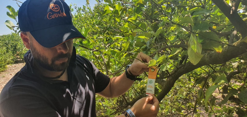 Zero waste biological control in citrus fruits