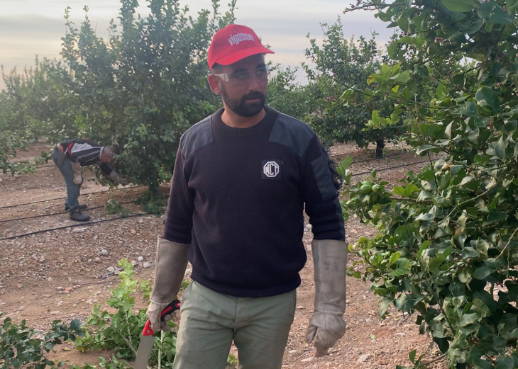 Cultural Practices, key to the quality of GAMBÍN citrus.